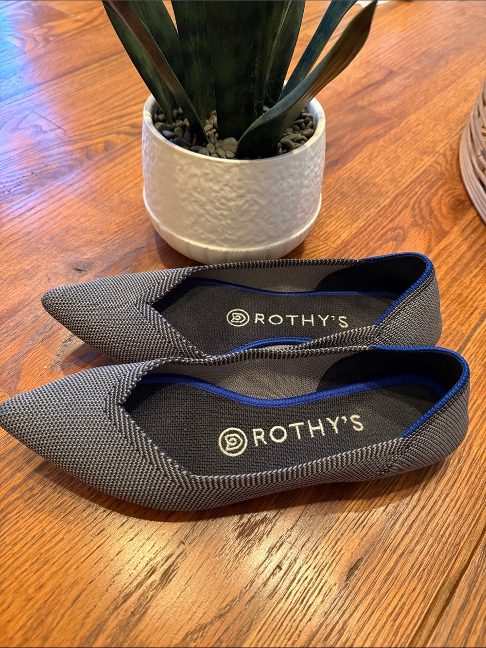 Rothy's Pointed Knit Flats in Gray with Blue Trim